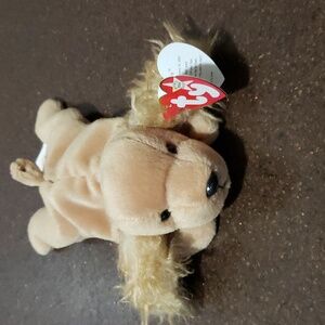 TY "Spunky" 1997 the Cocker Spaniel Blonde Dog.